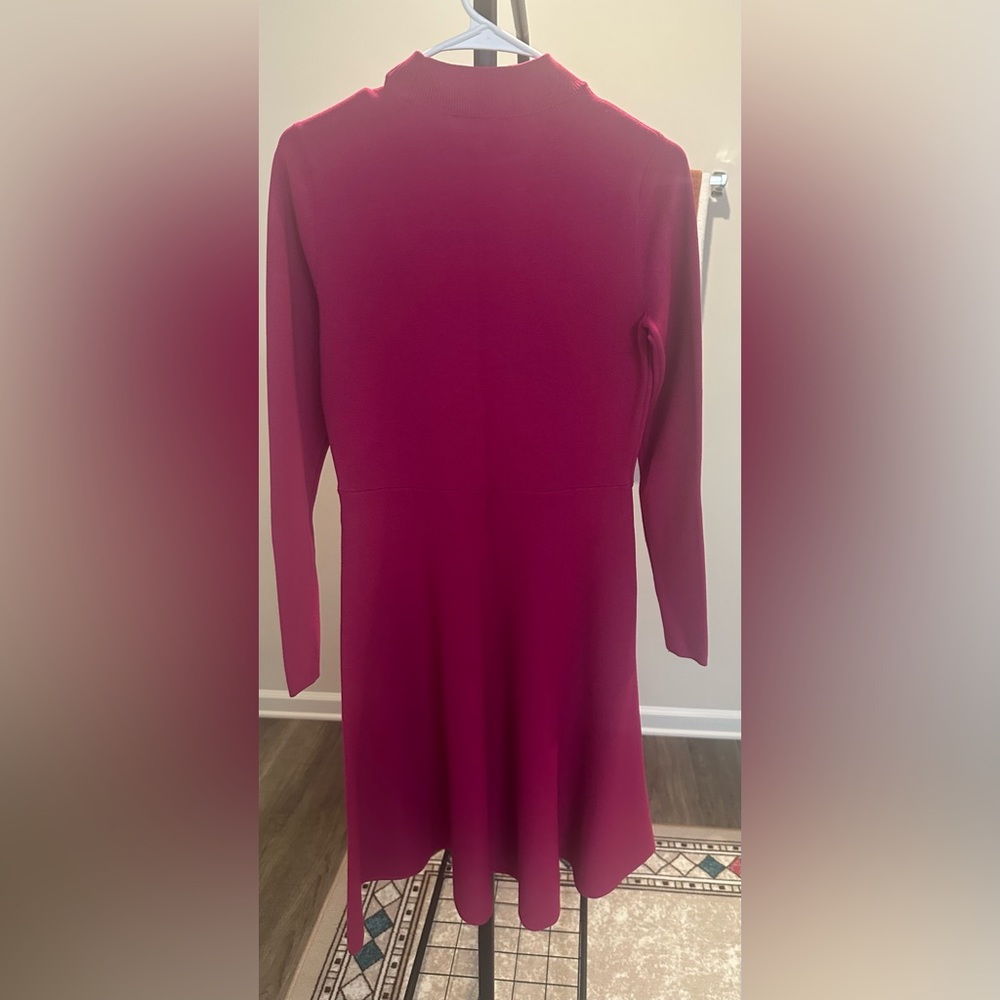 Elegant Long Sleeve Fuschia Dress